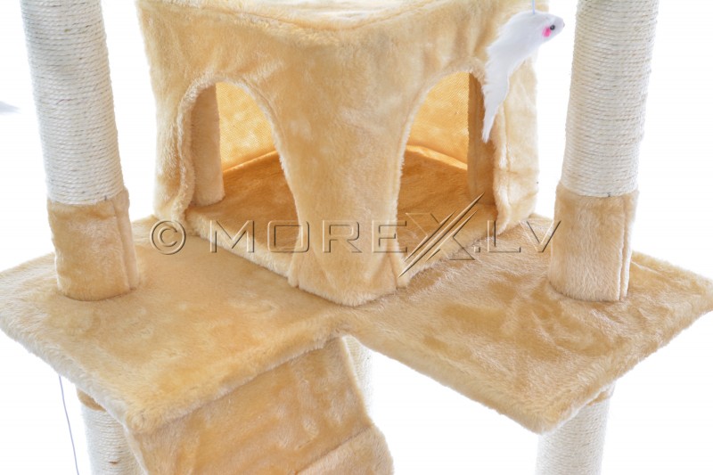 Kassimaja CAT608 (WK1133) Beige