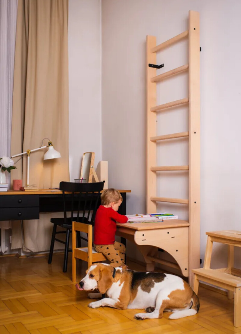 Puidust Rootsi redel RESTPRO® WOOD 230x65 cm koos lauaga