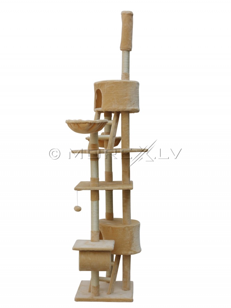 Kassimaja CAT807 Beige