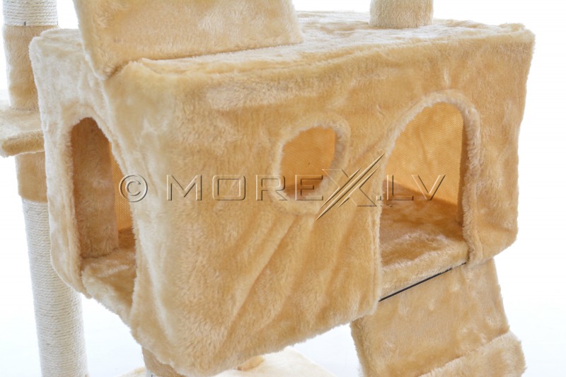 Kassimaja CAT608 (WK1133) Beige