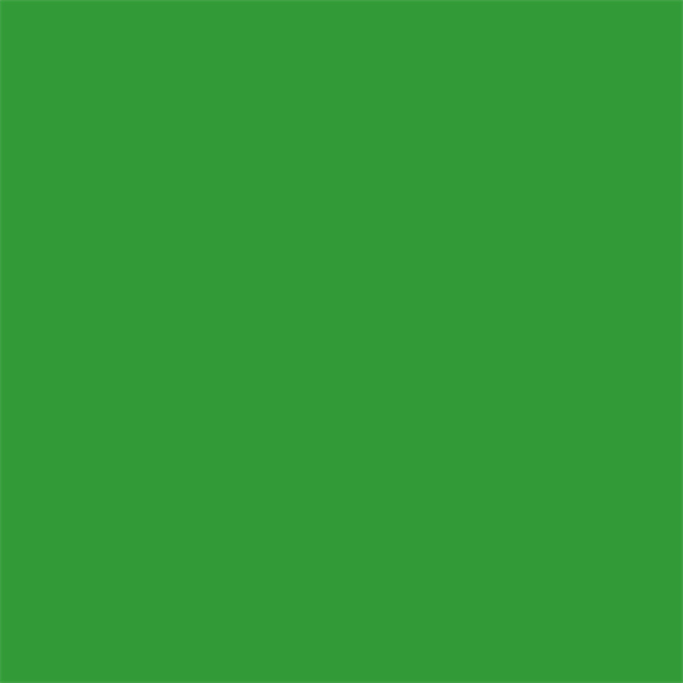 Foto taust paber Superior, 2.72x11 m, roheline