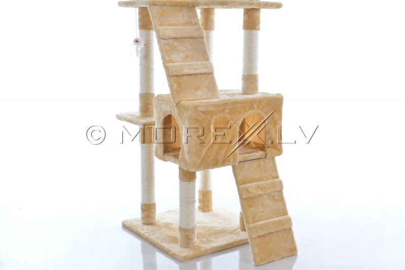Kassimaja CAT608 (WK1133) Beige