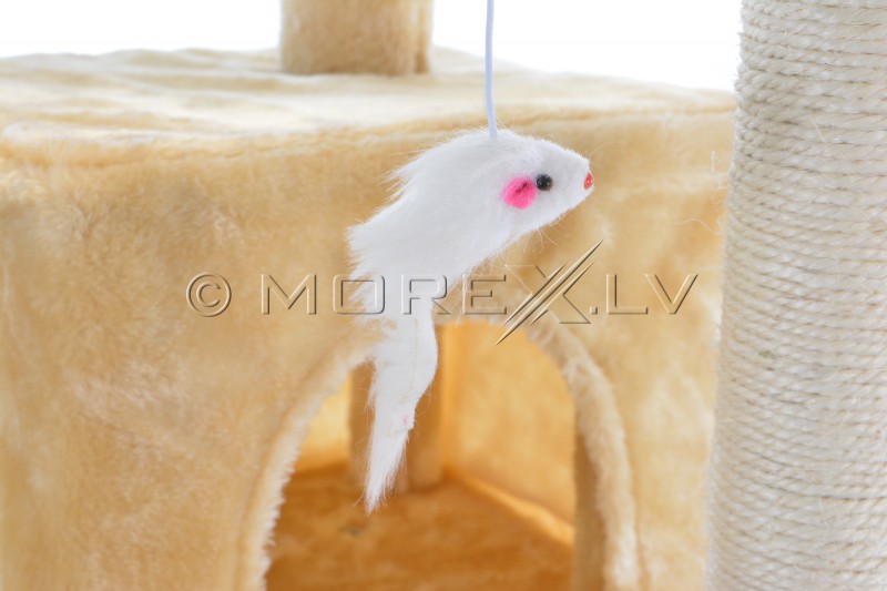 Kassimaja CAT608 (WK1133) Beige
