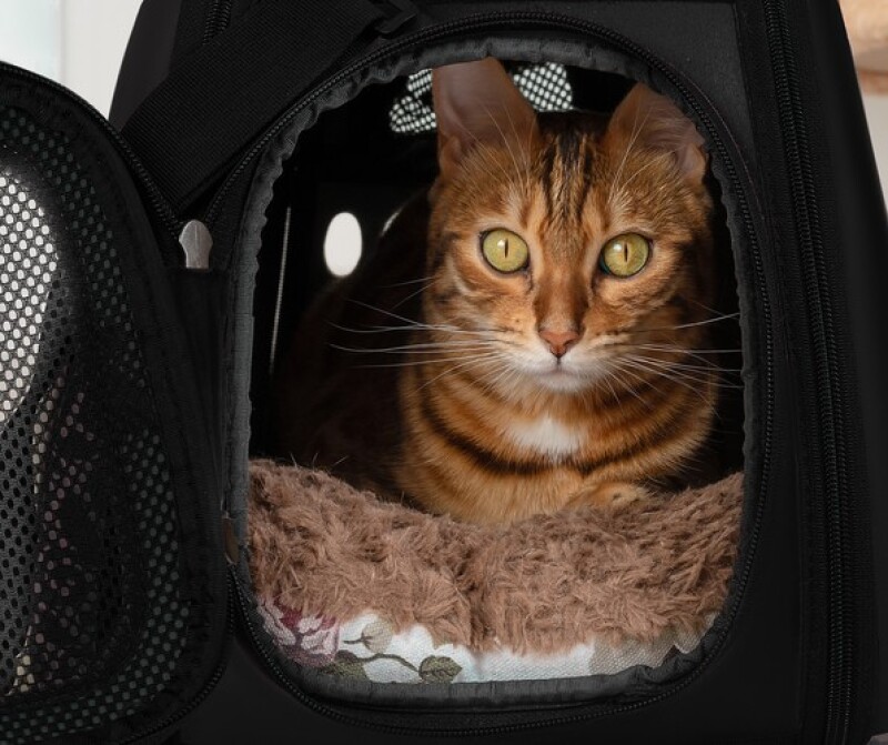 Transportavimo krepšys šunims ir katėms