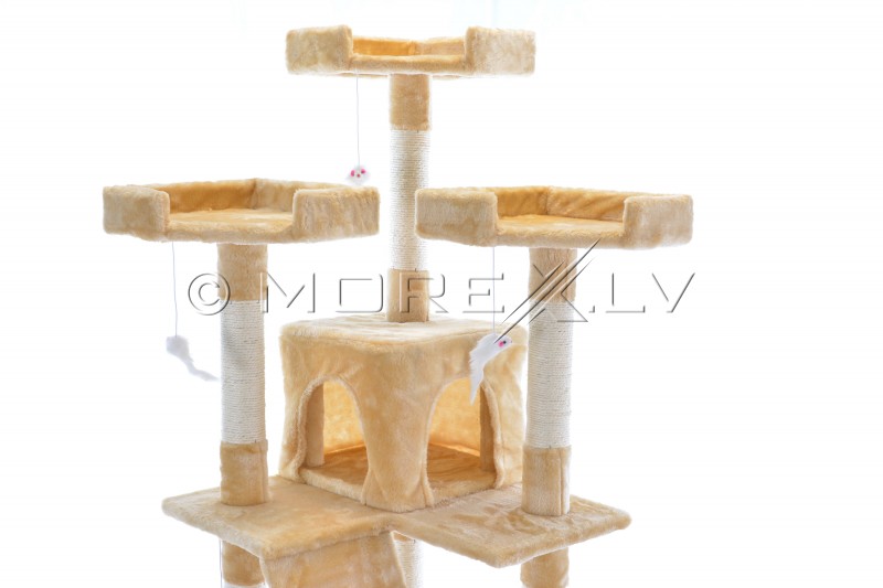 Kassimaja CAT608 (WK1133) Beige