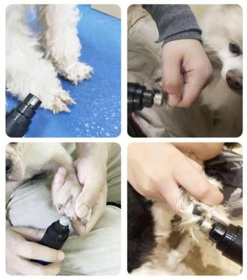 Pet claw trimmer