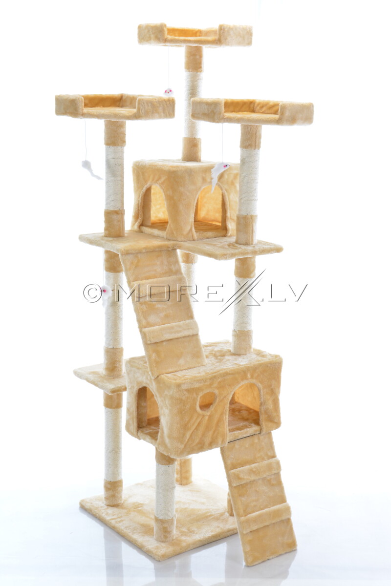 Kassimaja CAT608 (WK1133) Beige