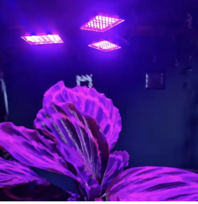 LED taimekasvatuslamp 8W/108 LED