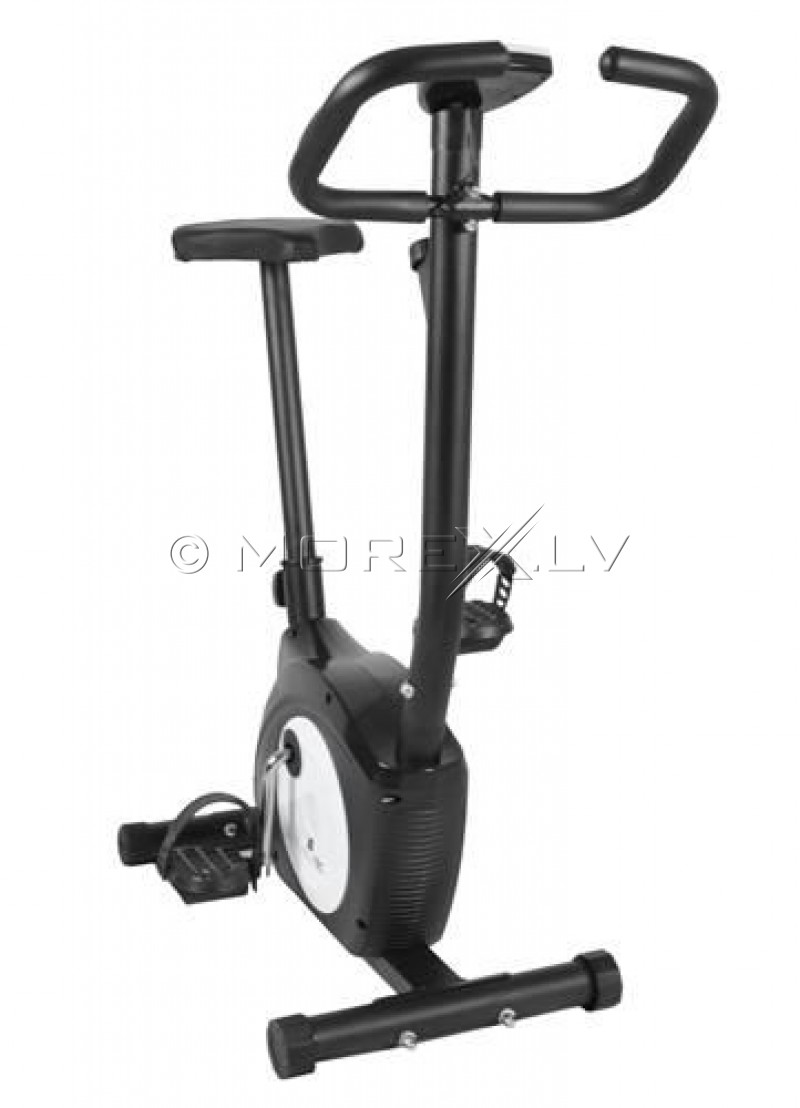 Exercise Bicycle (00005689)